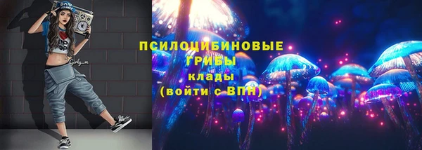 прущие крисы Алексеевка